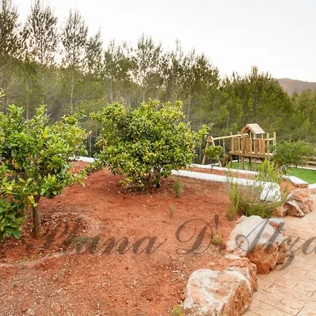 Sa Plana D'atzaró *